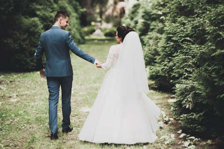 Romantic, fairytale, happy newlywed couple hugging and kissing in a park, trees in backgroundの写真素材