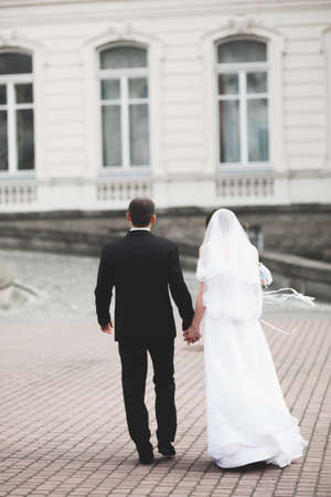 Luxury married wedding couple, bride and groom posing in old cityの写真素材