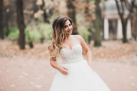 Beautiful luxury bride in elegant white dress