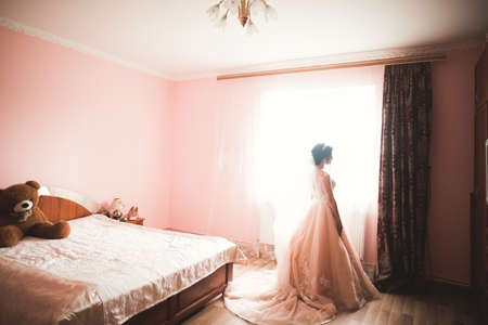 Gorgeous bride in robe posing and preparing for the wedding ceremony face in a roomの写真素材