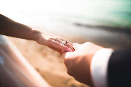 Wedding couple bride and groom holding handsの写真素材