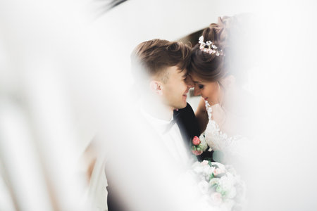 Wedding couple bride and groom holding handsの写真素材