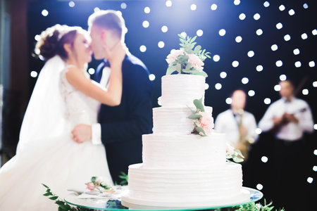 Bride and groom at wedding cutting the wedding cakeの写真素材