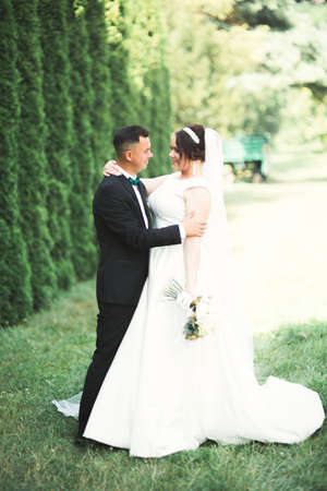 Happy wedding couple walking in a botanical parkの写真素材