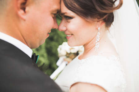 Perfect couple bride, groom posing and kissing in their wedding dayの写真素材