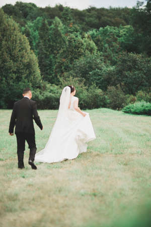 Romantic, fairytale, happy newlywed couple hugging and kissing in a park, trees in backgroundの写真素材