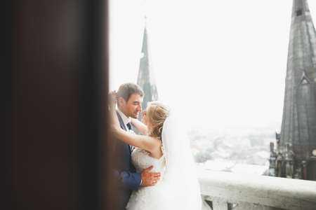 Stylish beautiful wedding couple kissing and hugging on background panoramic view of the old townの写真素材