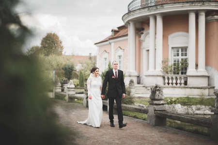 Amazing happy gentle stylish beautiful romantic caucasian couple on the background ancient baroqueの写真素材