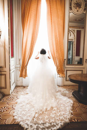 Portrait of stunning bride with long hair posing with great bouquetの写真素材