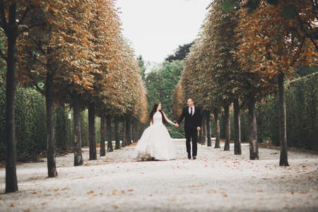 Lovely happy wedding couple, bride with long white dressの写真素材