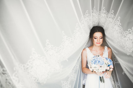 Luxury bride in white dress posing while preparing for the wedding ceremonyの写真素材