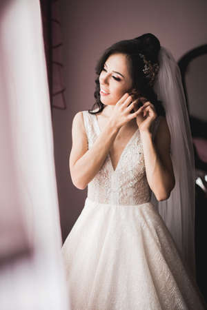 Beautiful luxury bride in elegant white dressの写真素材
