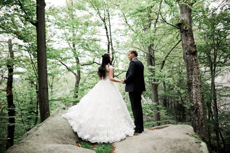 Wedding couple holding hands, groom and bride together on wedding dayの写真素材