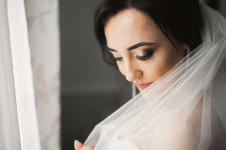 Beautiful bride wearing fashion wedding dress with feathers with luxury delight make-up and hairstyle, studio indoor photo shootの写真素材