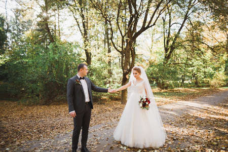 Wedding couple holding hands, groom and bride together on wedding dayの写真素材