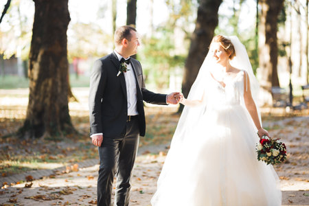 Wedding couple holding hands, groom and bride together on wedding dayの写真素材