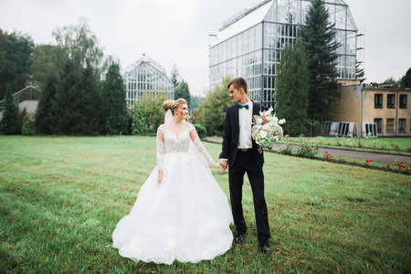 Wedding couple holding hands, groom and bride together on wedding dayの写真素材