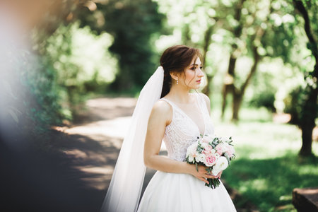 Happy wedding couple charming groom and perfect bride posing in parkの写真素材