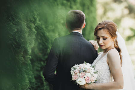 Happy wedding couple charming groom and perfect bride posing in parkの写真素材
