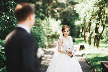 Happy wedding couple charming groom and perfect bride posing in parkの写真素材