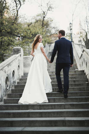 Wedding couple bride and groom holding handsの写真素材