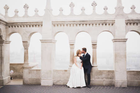 Beautiful bride and groom embracing and kissing on their wedding day outdoorsの写真素材