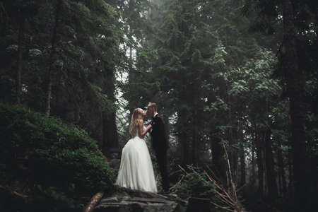 Happy wedding couple charming groom and perfect bride posing in parkの写真素材