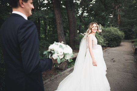 Romantic, fairytale, happy newlywed couple hugging and kissing in a park, trees in backgroundの写真素材