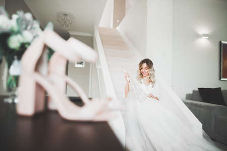 Gorgeous bride in robe posing and preparing for the wedding ceremony face in a roomの写真素材