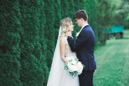 Romantic, fairytale, happy newlywed couple hugging and kissing in a park, trees in backgroundの写真素材
