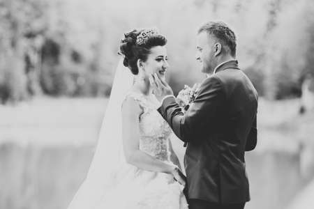 Perfect couple bride, groom posing and kissing in their wedding dayの写真素材