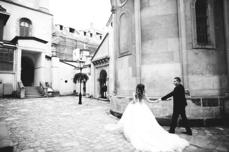 Perfect couple bride, groom posing and kissing in their wedding dayの写真素材