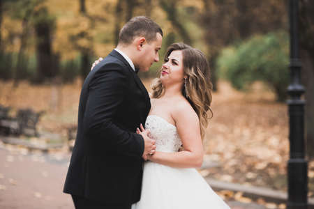 Perfect couple bride, groom posing and kissing in their wedding dayの写真素材