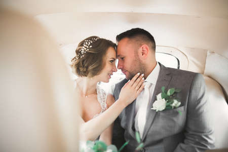 Perfect couple bride, groom posing and kissing in their wedding dayの写真素材