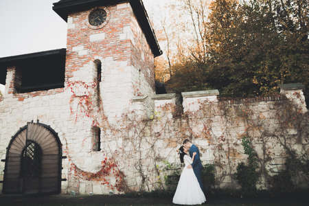 Perfect couple bride, groom posing and kissing in their wedding dayの写真素材