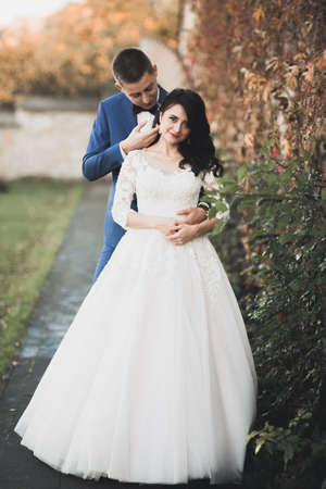 Perfect couple bride, groom posing and kissing in their wedding dayの写真素材