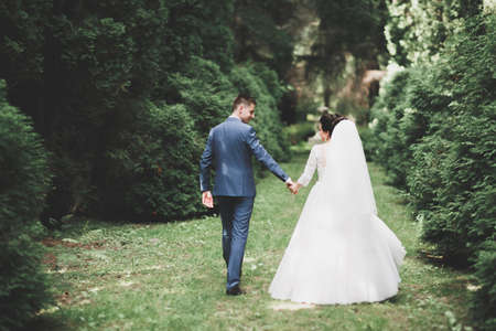 Stylish couple of happy newlyweds walking in the park on their wedding day with bouquetの写真素材