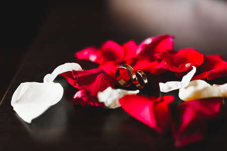 Beautiful toned picture with wedding rings against the background of a bouquet of flowersの写真素材