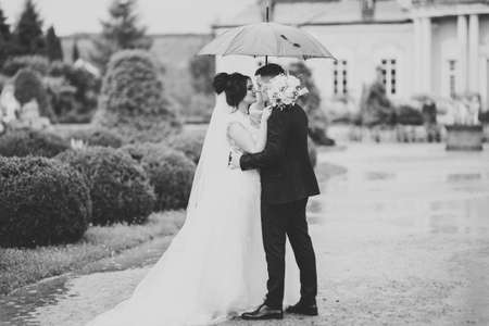 Beautiful romantic wedding couple of newlyweds hugging in parkの写真素材