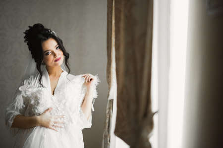 Gorgeous bride in robe posing and preparing for the wedding ceremony face in a roomの写真素材