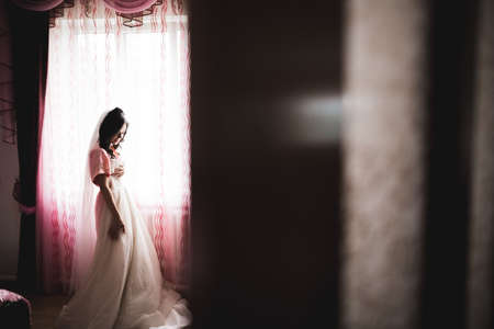 Beautiful bride wearing fashion wedding dress with feathers with luxury delight make-up and hairstyle, studio indoor photo shootの写真素材