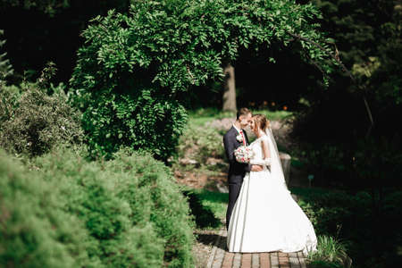 Sunshine portrait of happy bride and groom outdoor in nature locationの写真素材