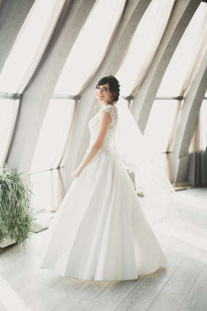 Beautiful fashion bride in wedding dress posingの写真素材