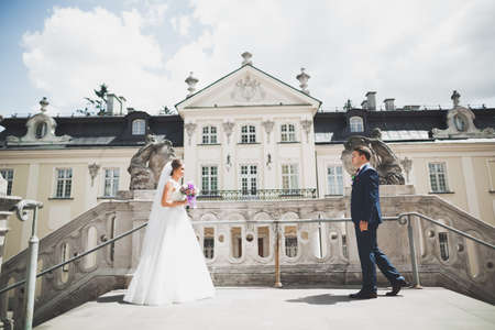 Perfect couple bride, groom posing and kissing in their wedding dayの写真素材