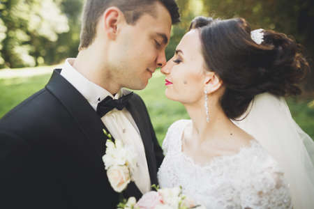 Happy wedding couple charming groom and perfect bride posing in parkの写真素材