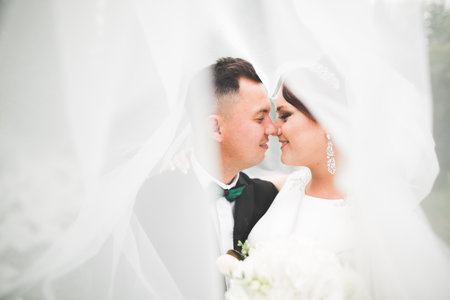 Perfect couple bride, groom posing and kissing in their wedding dayの写真素材