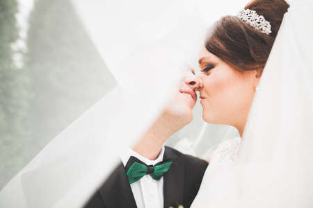 Wedding couple bride and groom holding handsの写真素材