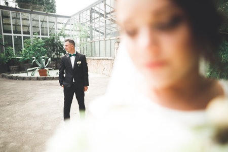 Perfect couple bride, groom posing and kissing in their wedding dayの写真素材