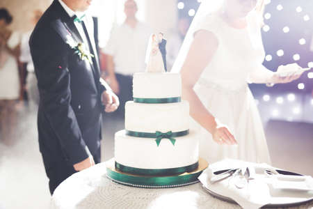 Bride and groom at wedding cutting the wedding cakeの写真素材