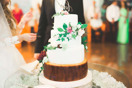 Bride and groom at wedding cutting the wedding cakeの写真素材